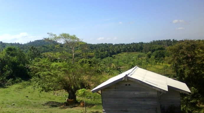 Transmigrasi Jadi Istri Duda : Bab 12&nbsp;Novel