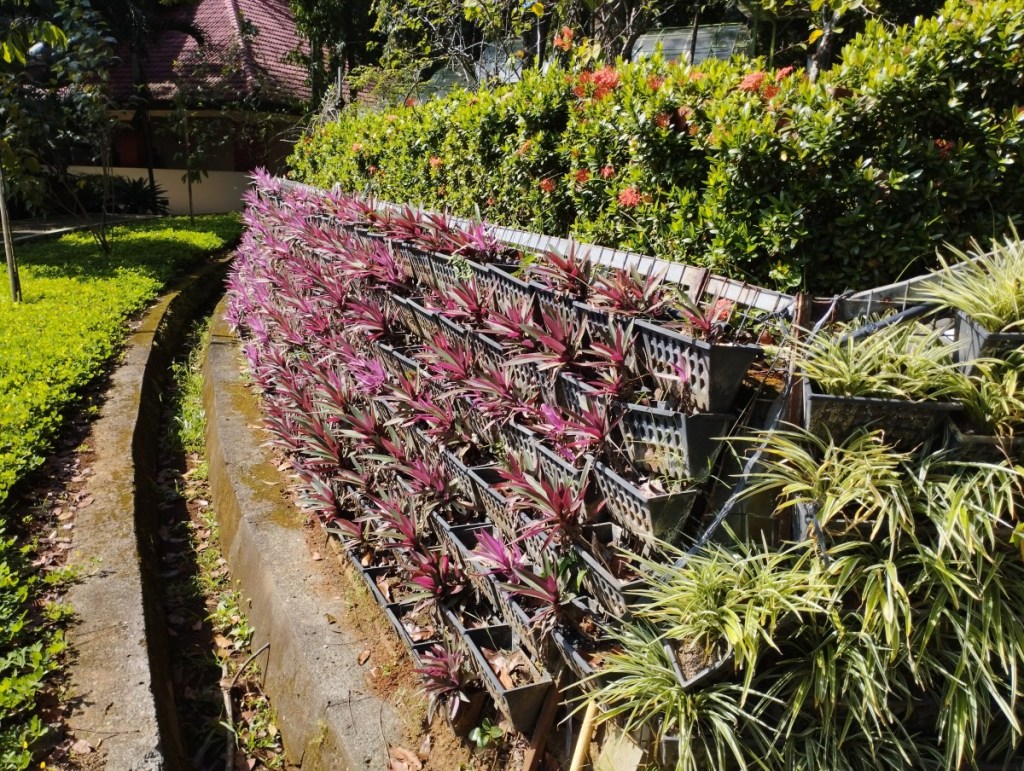 Lima Pelajaran Hidup Paska&nbsp;Ramadan